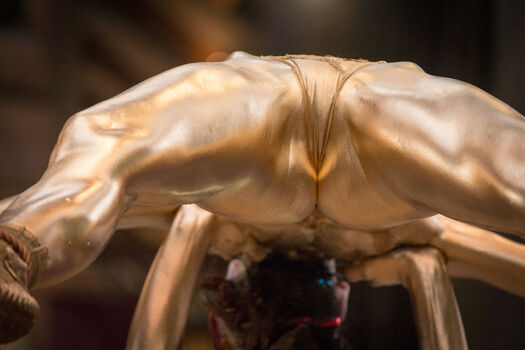 Asian adult event page leaked private photo uncensored HD quality