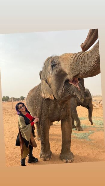 Bayley page leaked private photo uncensored HD quality