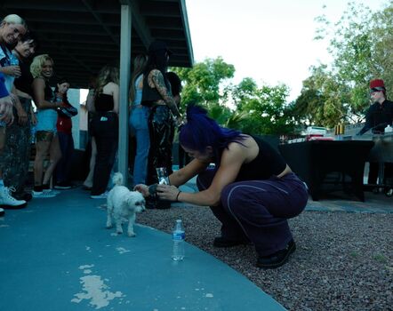 Bayley leaked private photo uncensored HD quality