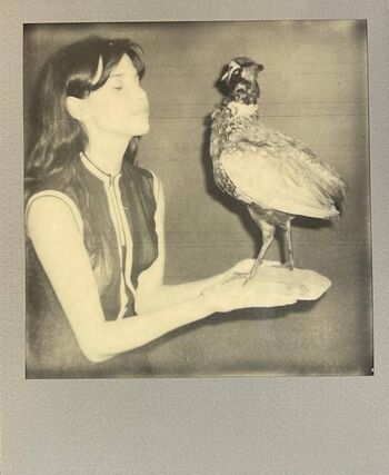 Charlotte dalessio leaked private photo uncensored HD quality