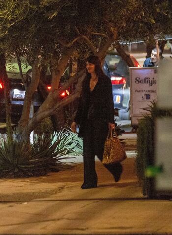 Dakota johnson page leaked private photo uncensored HD quality