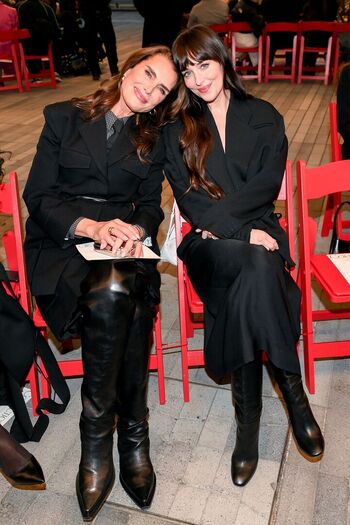 Dakota johnson page leaked private photo uncensored HD quality