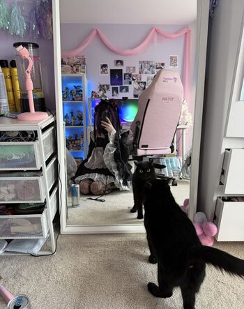 Digitalkatt page leaked private photo uncensored HD quality