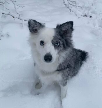 Dilaraa page leaked private photo uncensored HD quality