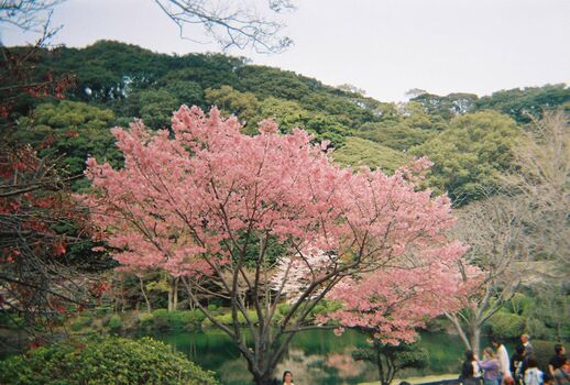 Dosya gasai  page leaked private photo uncensored HD quality