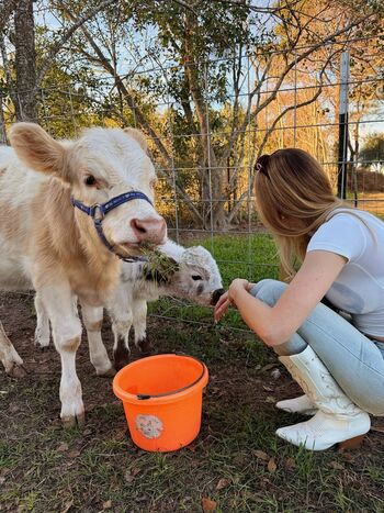 Sophia diamond  page leaked private photo uncensored HD quality